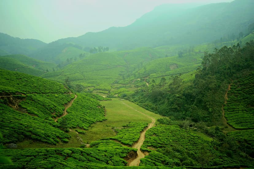 Captivating Kerala